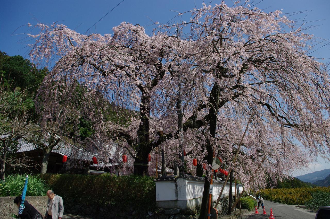 Kamiyama Onsen Hotel Shikinosato & Iyashinoyu Tokushima Esterno foto